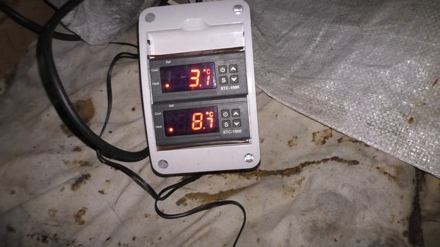 ТЕМПЕРАТУРА ВНУТРИ УЛЬЯ смотреть онлайн