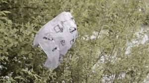 ЭкоЛОГИЧНО