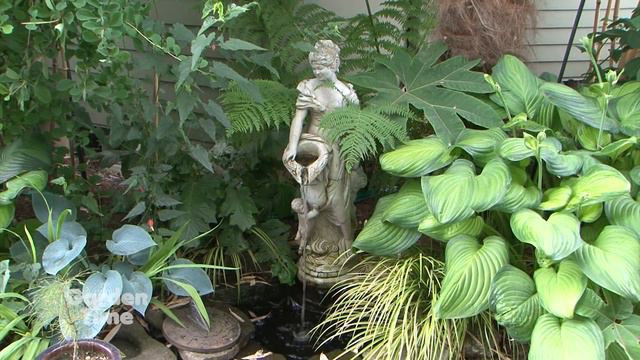 Garden Time show 19  7-7-18 смотреть онлайн