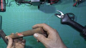 Cадовый секатор - ножницы - аккумулятор - мощь - бюджет.