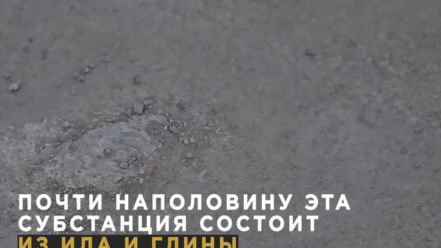 Отчего болеет Новосибирск? смотреть онлайн