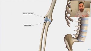 When is Tennis Elbow NOT Tennis Elbow?! | Lateral Elbow Pain | Expert Physio Review