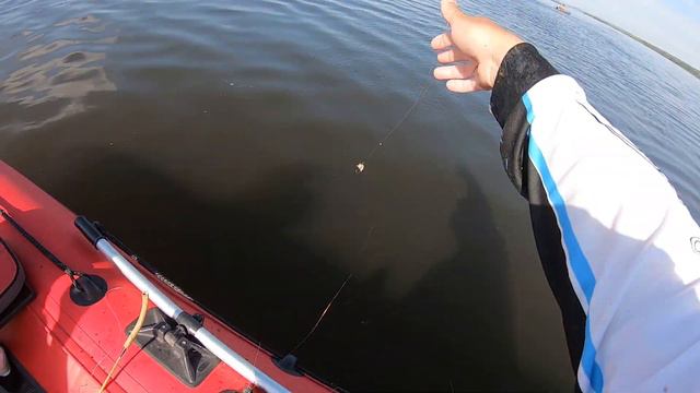 Дочка с папой ловит огромных ЛЕЩЕЙ! смотреть онлайн