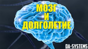 Мозг и долголетие