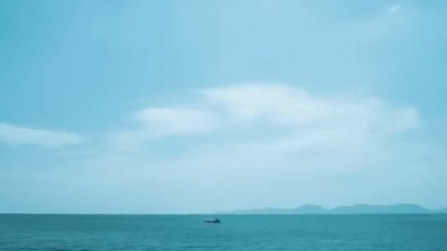 Shark full move sub indo смотреть онлайн