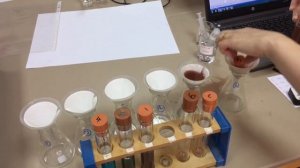 A level Required Practical 11 - a serial dilution, calibration curve