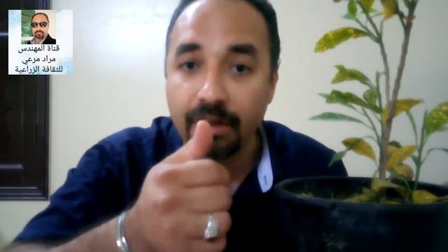 كروتن طرق تكاثر و رى وتسميد والامراض Codiaeum Variegatum حلقة 187 смотреть онлайн