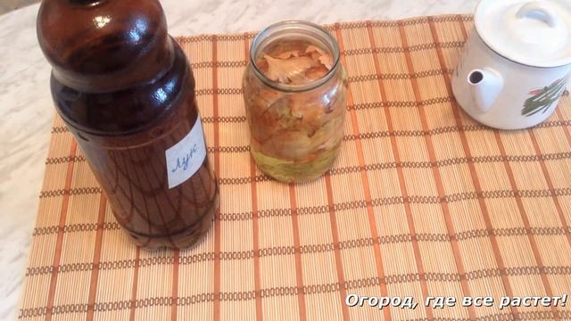 140. Здоровая рассада или "Лук от всех недуг" смотреть онлайн