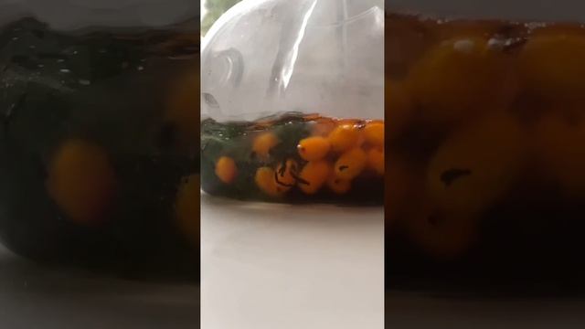 Утро "ремесленника" за 17 секунд,  #shorts смотреть онлайн