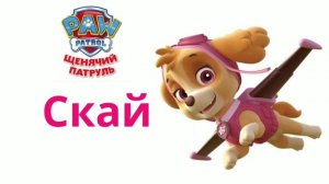 Аудиосказки для детей - Все о щенках из Щенячьего патруля.