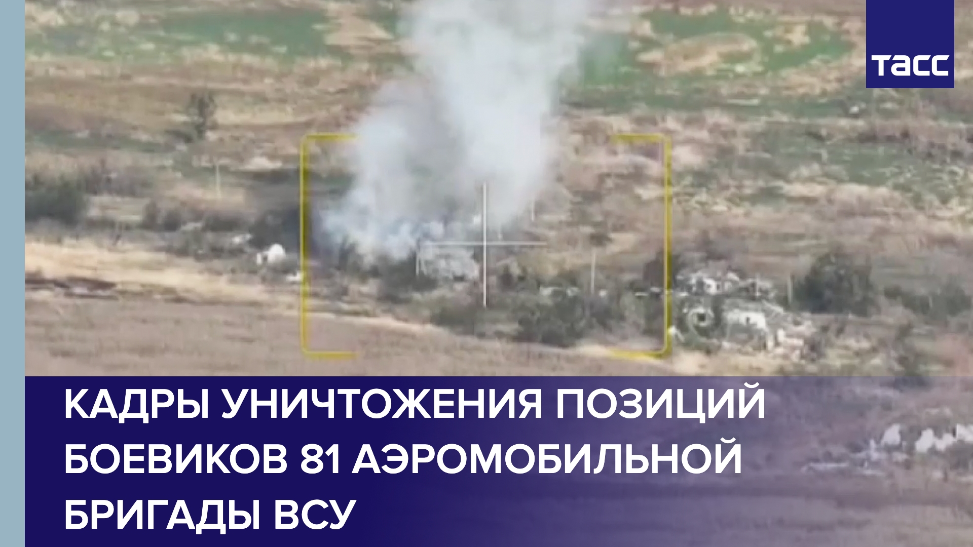Кадры уничтожения позиций боевиков 81 аэромобильной бригады ВСУ в районе Белогоровки