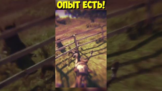 ОПЫТ ЕСТЬ! #shorts #rdr2 #reddeadredemption2 #прикол #видео