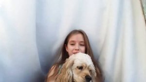 ВСЕ О МОЕЙ СОБАКЕ/американский кокер спаниель