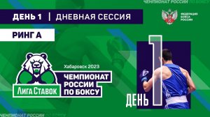 Чемпионат России по боксу среди мужчин 19-40 лет. Дневная сессия. Ринг "А". Хабаровск. День 1.