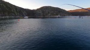 РЫБАЛКА С МОРСКОГО ПРИЧАЛА / FISHING FROM THE SEA PIER