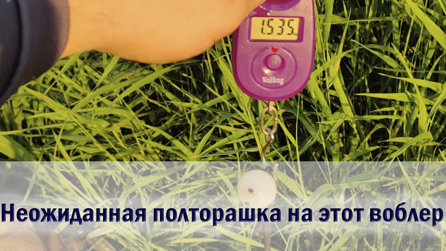 Ловили жереха, А КЛЮНУЛО ЭТО! Вечерня рыбалка на аэродроме Ока (2021)