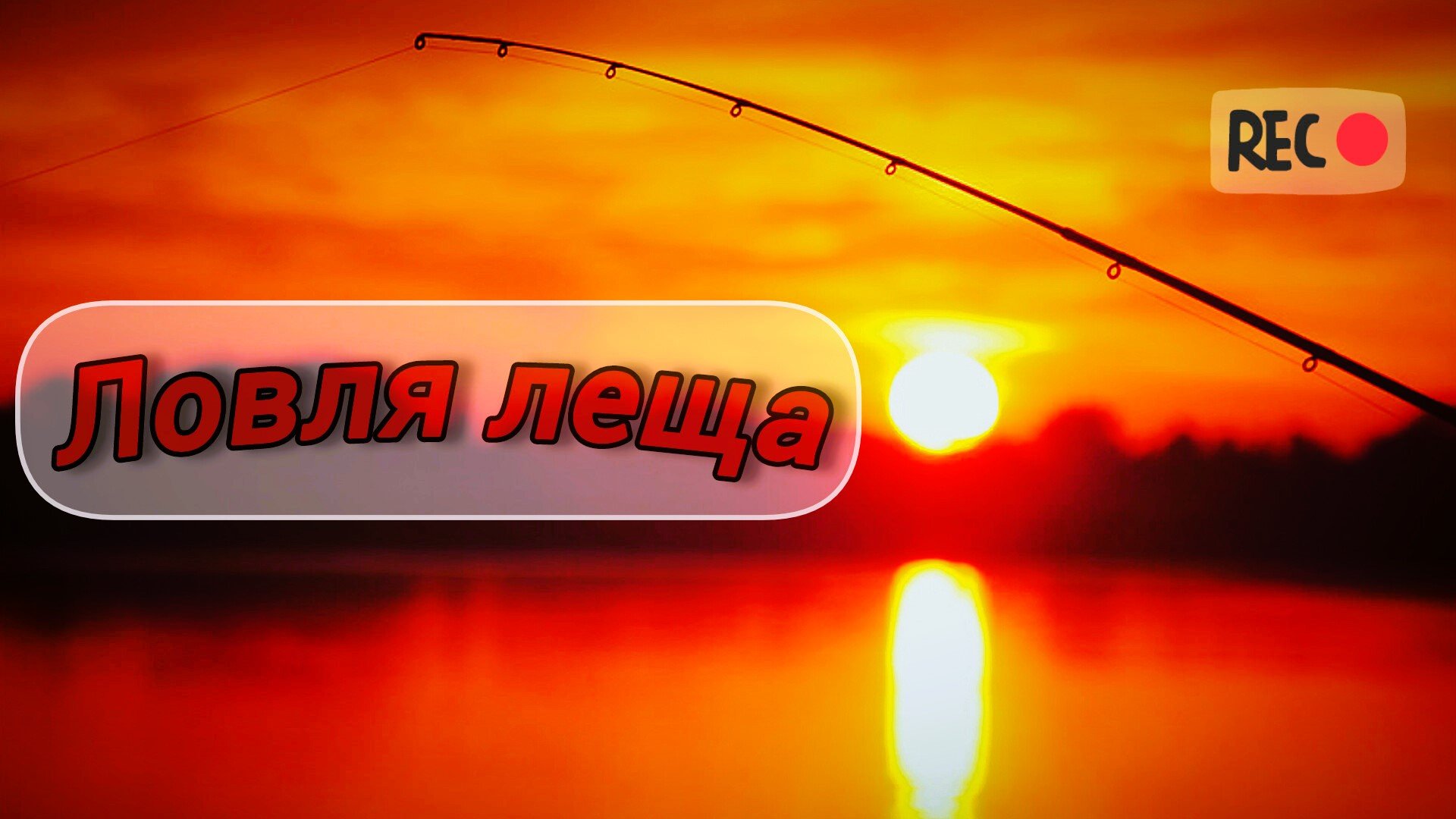 УТРЕННЯЯ РЫБАЛКА на ЛЕЩА. ЛОВЛЯ ЛЕЩА на ФИДЕР. ПОЙМАЛ ЛЕЩА на речке. РЫБАЛКА утром на РЕЧКЕ