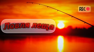 УТРЕННЯЯ РЫБАЛКА на ЛЕЩА. ЛОВЛЯ ЛЕЩА на ФИДЕР. ПОЙМАЛ ЛЕЩА на речке. РЫБАЛКА утром на РЕЧКЕ