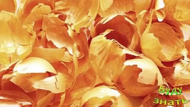 Не выбрасывайте различные пищевые отходы - УДОБРЕНИЕ смотреть онлайн