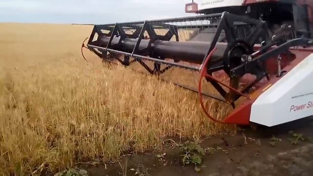 27 июня пробный ваезд, вектор 410 не которые сорта смотреть онлайн