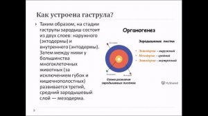 Рост и развитие животных. Биология 6 класс.