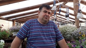 КТО ОНИ  вегетативные растения.