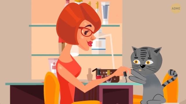 Почему ночью кошки начинают буквально сходить с ума, и другие объяснения их поведения