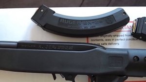 Ruger 10/22 RPTFS / BX-25 Magazine