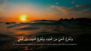 Шариф Мустафа |  Алю Имран:  26-28 | Sherif Mostafa | Quran4k