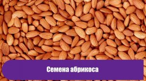 Какие семена стоит употреблять каждый день