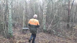 Валка Берёзы не очень получилось