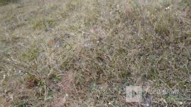 МЕТАЛЛОКОП. НЕ БИТЫЙ УЧАСТОК НА ВЫБИТОЙ ФЕРМЕ смотреть онлайн