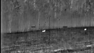 Охота рыси на зайца