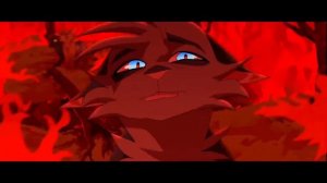 Коты-Воители | Остролистая | Зеркало, скажи мне кто прекраснее всех