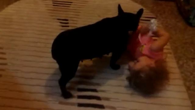 Собака vs девочка смотреть онлайн