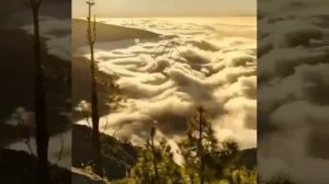 Необычное море