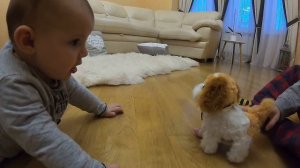 ИНТЕРАКТИВНАЯ ИГРУШКА СОБАКА. БРАТИК И СЕСТРИЧКА. INTERACTIVE TOY DOG