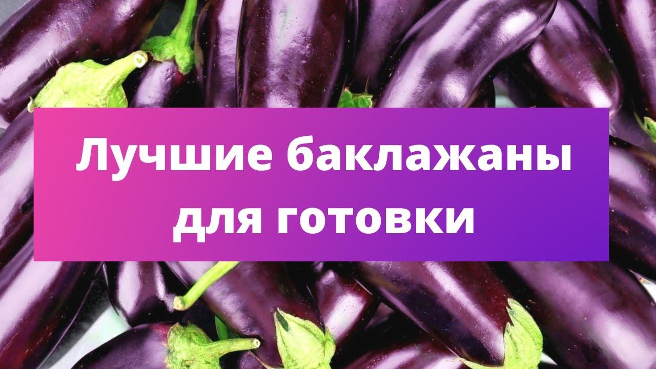 Баклажан Северный Индиго Описание Сорта Фото Отзывы