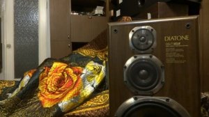 Сч динамики Diatone в S90