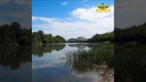Лиски - Петропавловка