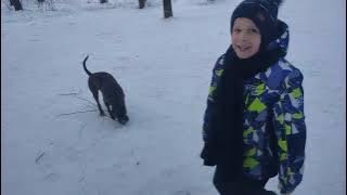 Платон и ханна гуляют в лесу