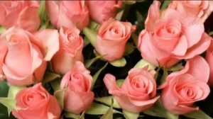 Дорогая Виктория Субота!)