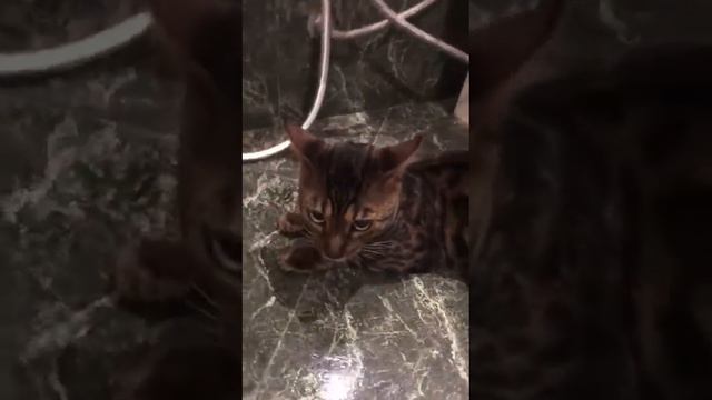 Привет всем Вы любите смотреть как течёт вода? 