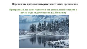 Сложносочиненное предложение
