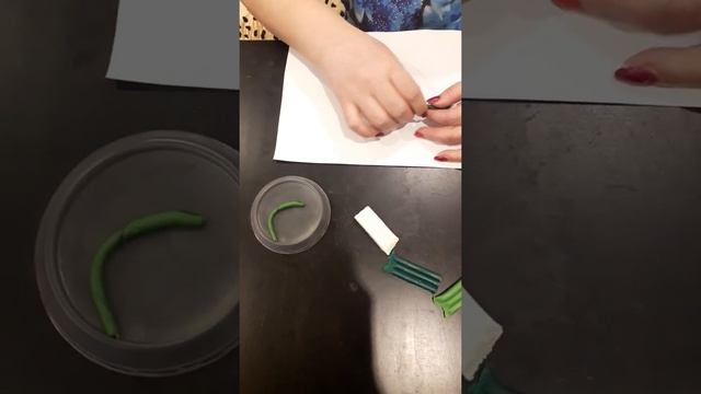 Стяглова А Н Изо лепка Подснежник Для детей старшей группы 5 6 лет смотреть онлайн