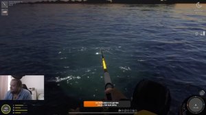 РР4. Норвежское море. ФАРМ и Трофеи с берега в скрытой бухте с капитаном!