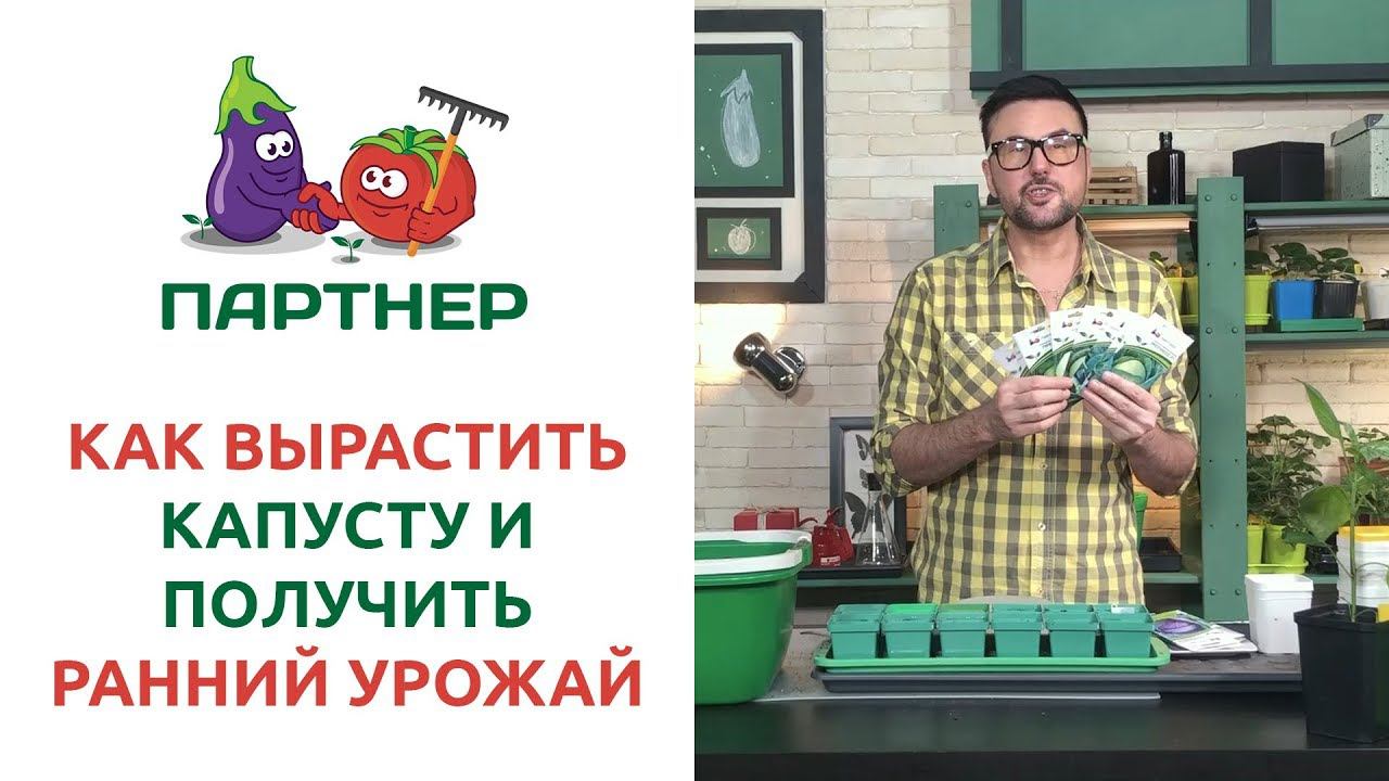 КАК ВЫРАСТИТЬ КАПУСТУ И ПОЛУЧИТЬ РАННИЙ УРОЖАЙ