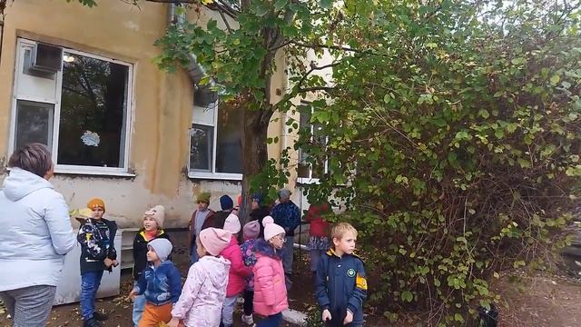 Работа по экологии на прогулке с детьми на прогулке смотреть онлайн