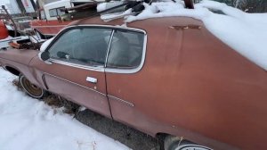 CHEAP MOPAR B-BODIES. Can you save them??? Plymouth Road Runners and a Dodge Charger.