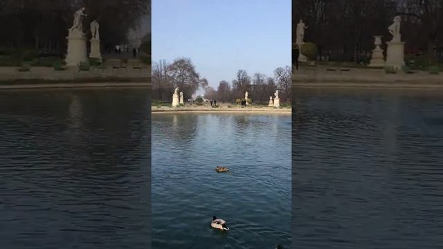 Jardin de Tuileries